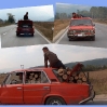Transporte 13.jpg